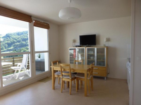 Appartement 6 pers, Wi-Fi, proche pistes ski, garage privé, vue lac et montagnes - FR-1-814-24